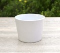 Doniczka Prymula 12cm kaszmir - 2.JPG
