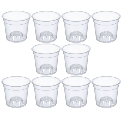 Storczykówka 15 cm x10 - 1.png