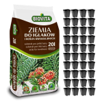 Zestaw do uprawy sadzonek iglaków - doniczki P9 x40 + ziemia Biovita 20L