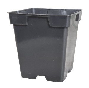 Doniczka plastikowa P11 1L 11cm KW na iglaki cyprysiki tuje jałowce krzewy