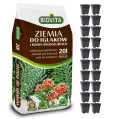 Ziemia Iglak + doniczki 11cm 1L KW x20 - 1.png