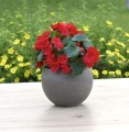 Doniczka Kula Bazalt 12cm z wkładem RS0.4 - 2.JPG