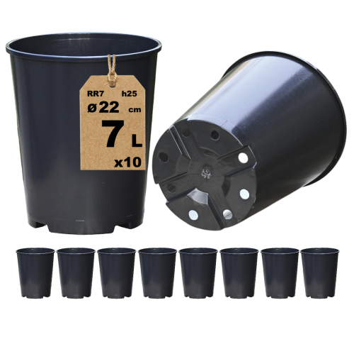 Doniczka RR7 x10.png