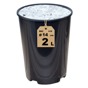 Doniczka produkcyjna wysoka do róż 2L 14cm OK z osłoną filcową ściółkującą