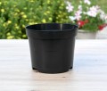 Doniczka 14cm 1,1L - 6.JPG