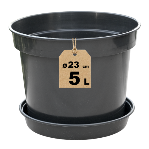 Doniczka RS5R z podstawką PI20 - 1.png