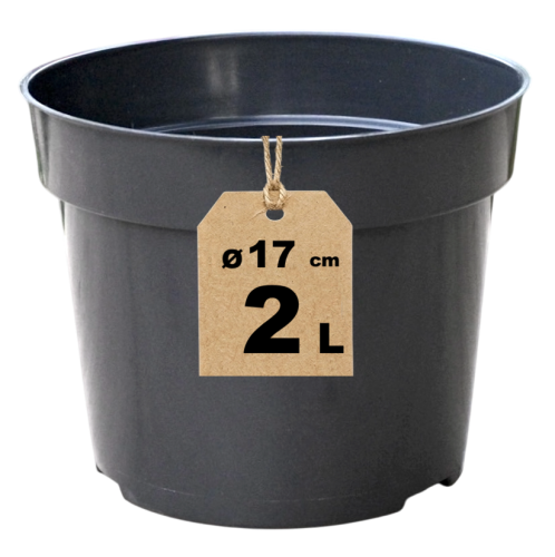 Doniczka RS2 - 1.png