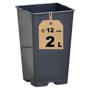 Doniczka kwadratowa wysoka 2L 12cm HS2A - na krzewy, róże, drzewka owocowe