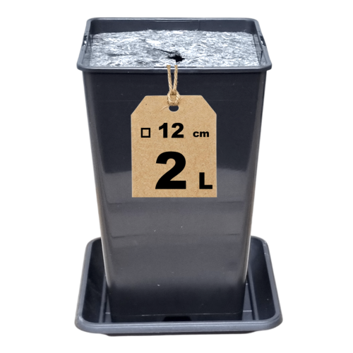 Doniczka HS2A z podstawką i filcem - 1.png
