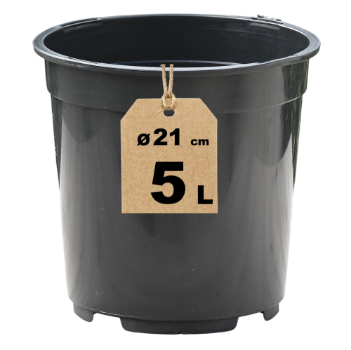 Doniczka RH5A - 1.png