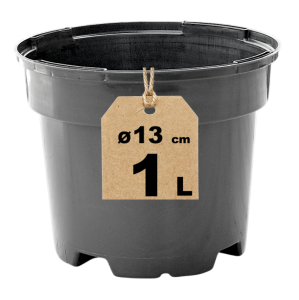 Doniczka produkcyjna 13cm 1L RS1A okrągła plastikowa na sadzonki bylin ziół