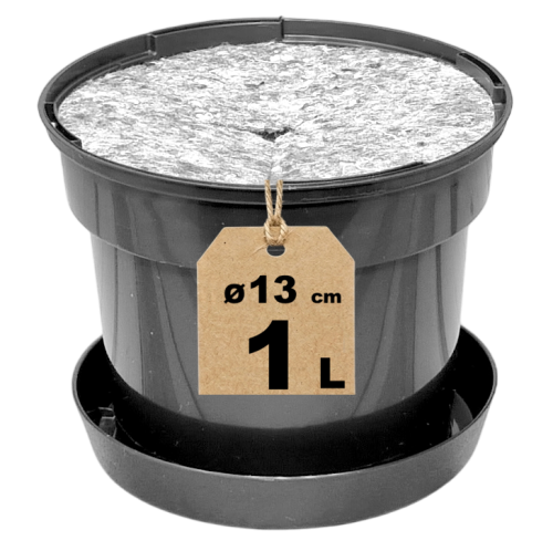 Doniczka RS1A z filcem i podstawką - 1.png