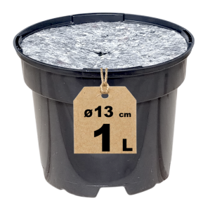 Doniczka 1L 13cm OK z osłoną ściółkującą - do uprawy kwiatów bylin ziół