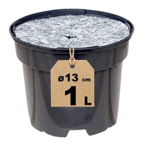 Doniczka RS1A z filcem - 1.png