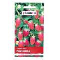 Poziomka Regina nasiona Plantico - 1.png