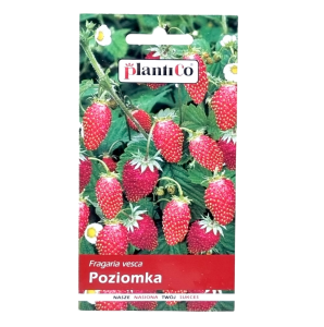 Poziomka REGINA nasiona PlantiCo 0,2g - bezrozłogowa smaczna plenna