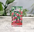 Poziomka Regina nasiona Plantico - 2.jpg