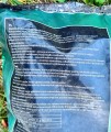 ziemia-bigos-biovita-monstera-4.jpg