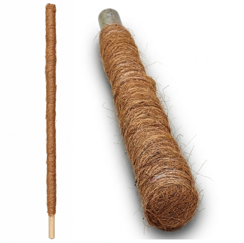 Palik kokosowy 120cm 1.png