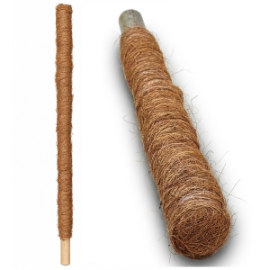 Palik kokosowy do monstery 80cm gruby, podpora do roślin, tyczka do pnączy