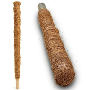 Palik kokosowy do monstery 60cm gruby, podpora do roślin, tyczka do pnączy