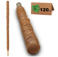 Palik kokosowy 120cm 1.png
