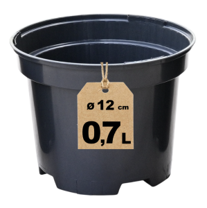 Doniczka produkcyjna 12cm 0,7L okrągła RS0.7A na pelargonie surfinie kwiaty