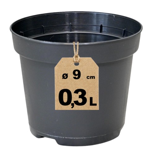 Doniczka RS0.3 - 1.png