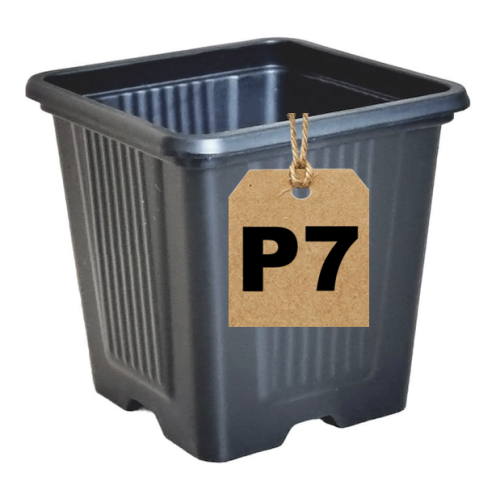 Doniczka P7 Roko - 1.png