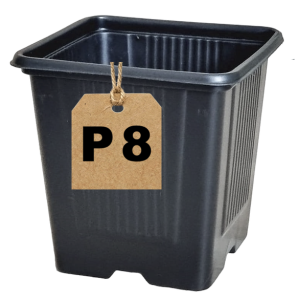 Doniczka produkcyjna kwadratowa P8 0,3L 8cm na rozsady warzyw kwiatów ziół