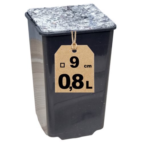 Doniczka HS0.8A z filcem - 1.png