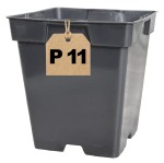 Doniczka produkcyjna P11 kwadratowa 1L 11cm S1A na iglaki byliny krzewy