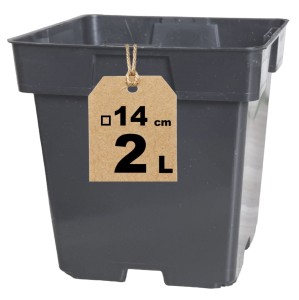 Doniczka produkcyjna kwadratowa 2L 14cm S2A na trawy byliny krzewy iglaki