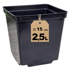 Doniczka produkcyjna kwadratowa 15cm 2,5L S2.5 - na iglaki byliny krzewy