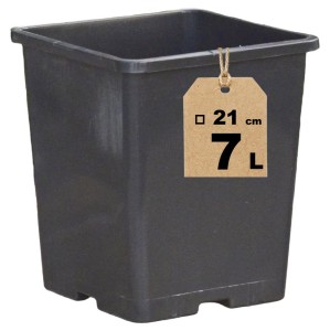 Doniczka produkcyjna kwadratowa 7L 21cm HS7 do drzewek krzewów róż iglaków