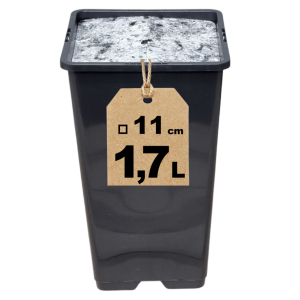 Doniczka szkółkarska wysoka 1,7L 11cm KW z włókniną filcową ściółkującą