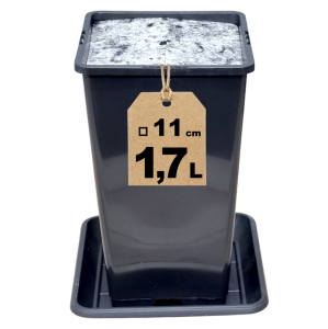 Doniczka produkcyjna wysoka 1,7L 11cm KW z podstawką i osłoną filcową