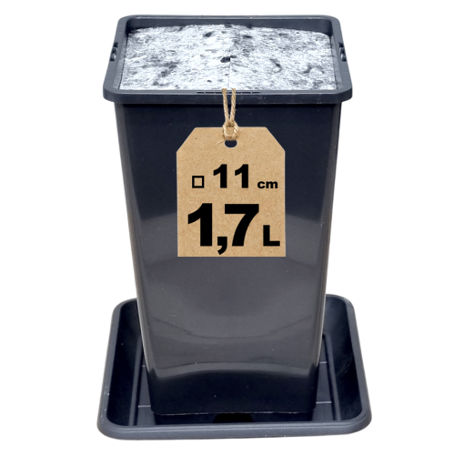 Doniczka HS1.7A z filcem i podstawką - 1.png