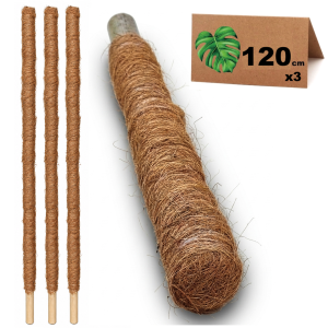 Paliki kokosowe do monstery 120cm x3 - podpory do roślin, tyczki do pnączy