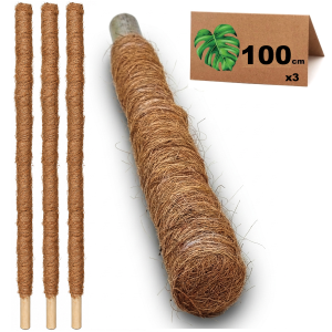 Paliki kokosowe do monstery 100cm x3 - podpory do roślin, tyczki do pnączy