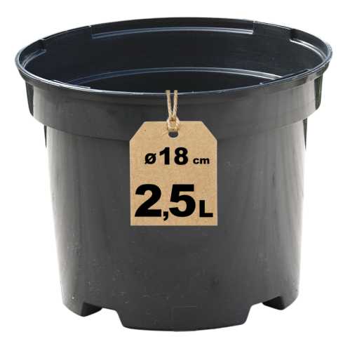 Doniczka RS2.5A - 1.png