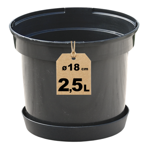 Doniczka RS2.5A z podstawką - 1.png