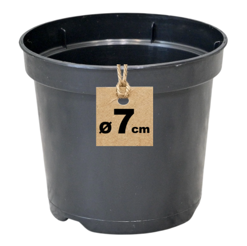 Doniczka 7cm 0,16L - 1.png