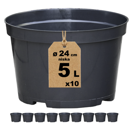 Doniczka RL5 x10.png