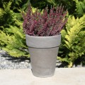Doniczka Bazalt XL 17 z wrzosem.JPG