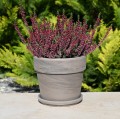 Doniczka Calima Bazalt 16 z podstawką i wrzosem.JPG
