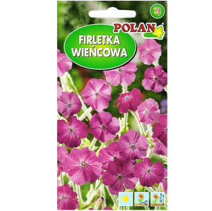 Firletka wieńcowa amarantowa - bylina na rabaty - nasiona Polan 0,5g