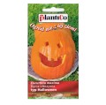 Dynia olbrzymia BIG MAX typ Halloween nasiona 2g
