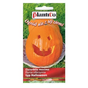 Dynia olbrzymia BIG MAX typ Halloween nasiona 2g