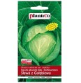 Kapusta wczesna SŁAWA Z GOŁĘBIEWA nasiona 2g